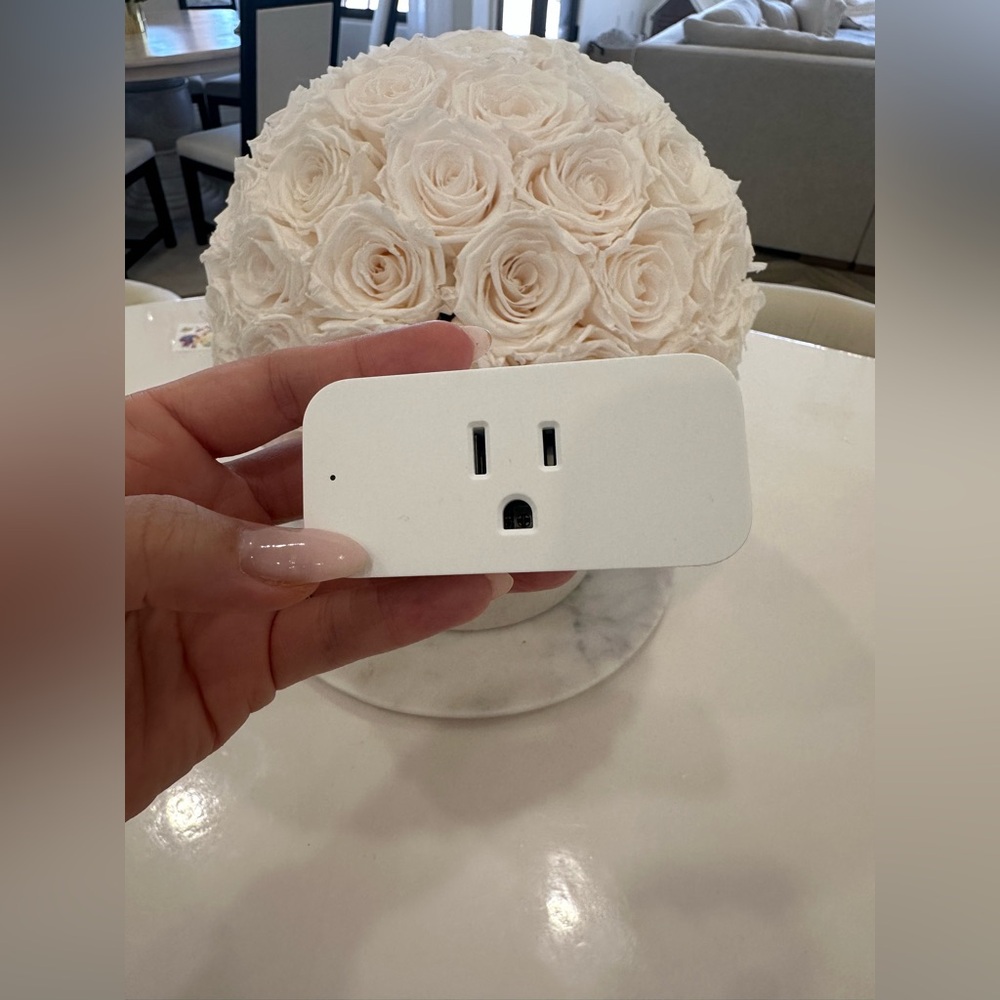 Amazon Smart Plug | Works with Alexa | Simple setup, endless possibilities - Picture 7 of 8